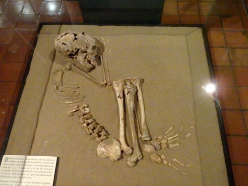 Museo de Arqueologia, Trujillo, Peru.